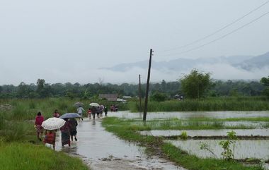 Nashik Rain Update: नाशिकात मेघगर्जनेसह मुसळधार पावसाची हजेरी