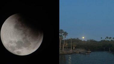 Chandra Grahan 2022 Photos: ट्विटरवर नेटीझन्सने शेअर केले Blood Moon Lunar Eclipse चे खास फोटो, पहा
