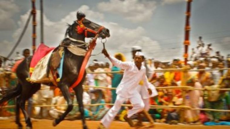 Ashadhi Wari Sant Tukaram Palkhi 2022: संत तुकाराम महाराजांची पालखी 20 जूनला ठेवणार प्रस्थान; पहा गोल रिंगण, उभं रिंगणाच्या तारखा