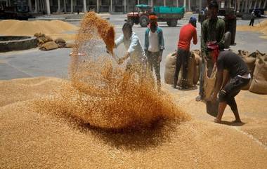 India Exports Wheat: भारताने गव्हाच्या निर्यातीवरील बंदी केली शिथिल, 'या' खेपांना मिळाली परवानगी