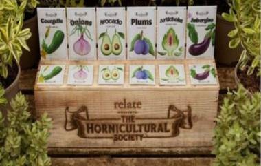 Vegetable-Themed Condoms: व्हेजिटेबल-थीम कंडोममुळे आता सेक्स लाईफचा रोमांच आणखी वाढणार; लवकरच मार्केटमध्ये येणार