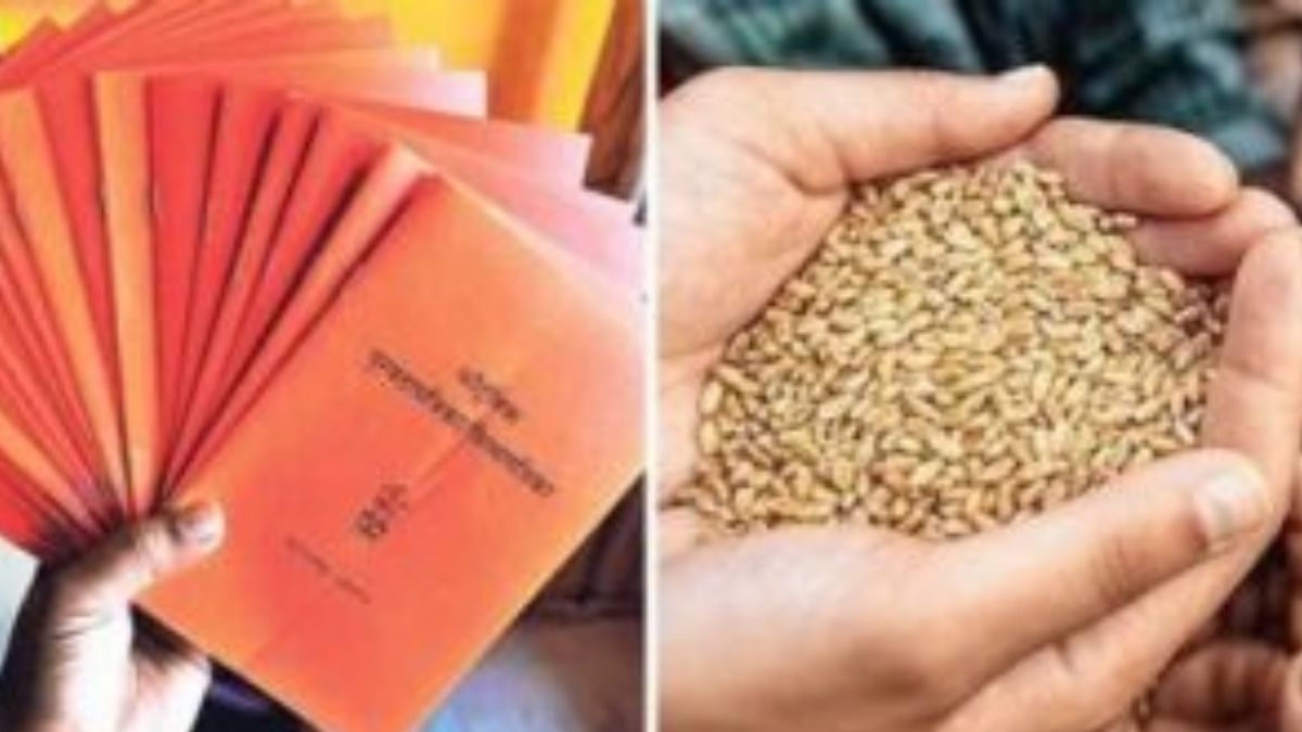 Central Government Cuts Wheat Quota Under PMGKAY: जूनपासून शिधापत्रिकाधारकांना मिळणार कमी गहू; आणखी काय परिणाम होणार? वाचा सविस्तर