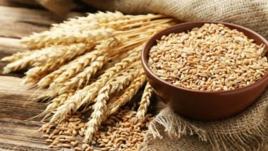 Wheat Export Ban: गव्हाच्या निर्यातीवर बंदी, वाढत्या किमतीच्या पार्श्वभूमीवर सरकारने उचलले मोठे पाऊल