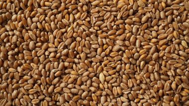 Wheat Export: बंदी असतानाही 2022-23 मध्ये 70 लाख टन गव्हाची करणार निर्यात