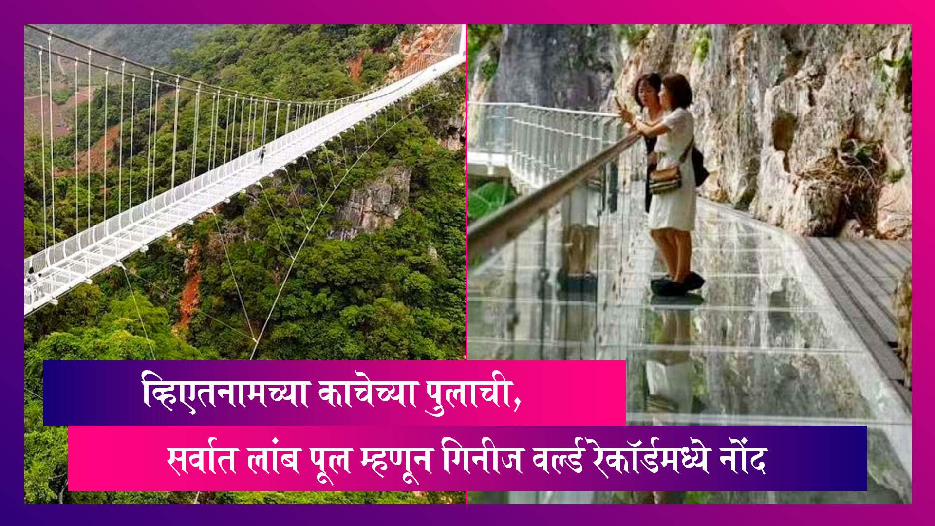 व्हिएतनामच्या Bach Long Glass Bridge ने मोडला विक्रम, गिनीज वर्ल्ड रेकॉर्डमध्ये नोंद