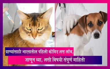 Vaccine for Animals: तुमच्या पाळीव प्राण्याला कोरोनाची लस दिली का? प्राण्यांसाठी पहिली कोविड लस लाँच