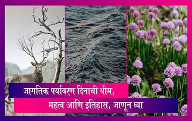 World Environment Day 2022: जागतिक पर्यावरण दिनाची थीम,महत्व आणि इतिहास, जाणून घ्या