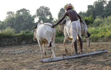 Help to Rain-Affected Farmers: दिलासादायक! पावसामुळे नुकसानग्रस्त शेतकऱ्यांना लवकरच निधी वितरित होणार; जाणून घ्या किती मिळणार मदत