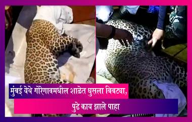 मुंबई येथे Goregoan मधील शाळेत घुसला Leopard, पुढे काय झाले पाहा