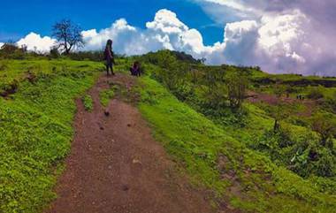 Maharashtra Monsoon Rain Update: मान्सून आला, महाराष्ट्रात पोहोचला; पण अद्याप सक्रीय नाही झाला; सरासरीपेक्षा पाऊस अजूनही कमीच