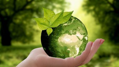 World Environment Day 2022 Theme: 5 जूनला यंदा जागतिक पर्यावरण दिन कोणत्या थीम वर होणार साजरा?