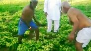 Viral Video: कु्स्ती खेळायला नसतं वय! शेतात कुस्ती खेळणाऱ्या दोन वृद्धांचा व्हिडिओ व्हायरल