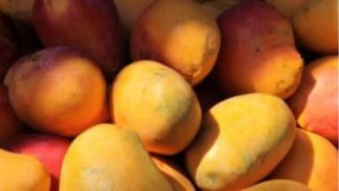 Benefits Of Mango: आंबा खाल्ल्याने होतात 'हे' 10 फायदे; फळांच्या राजाचे हे महत्त्वपूर्ण गुणधर्म तुमच्या आरोग्यासाठी ठरतील गुणकारी, वाचा सविस्तर