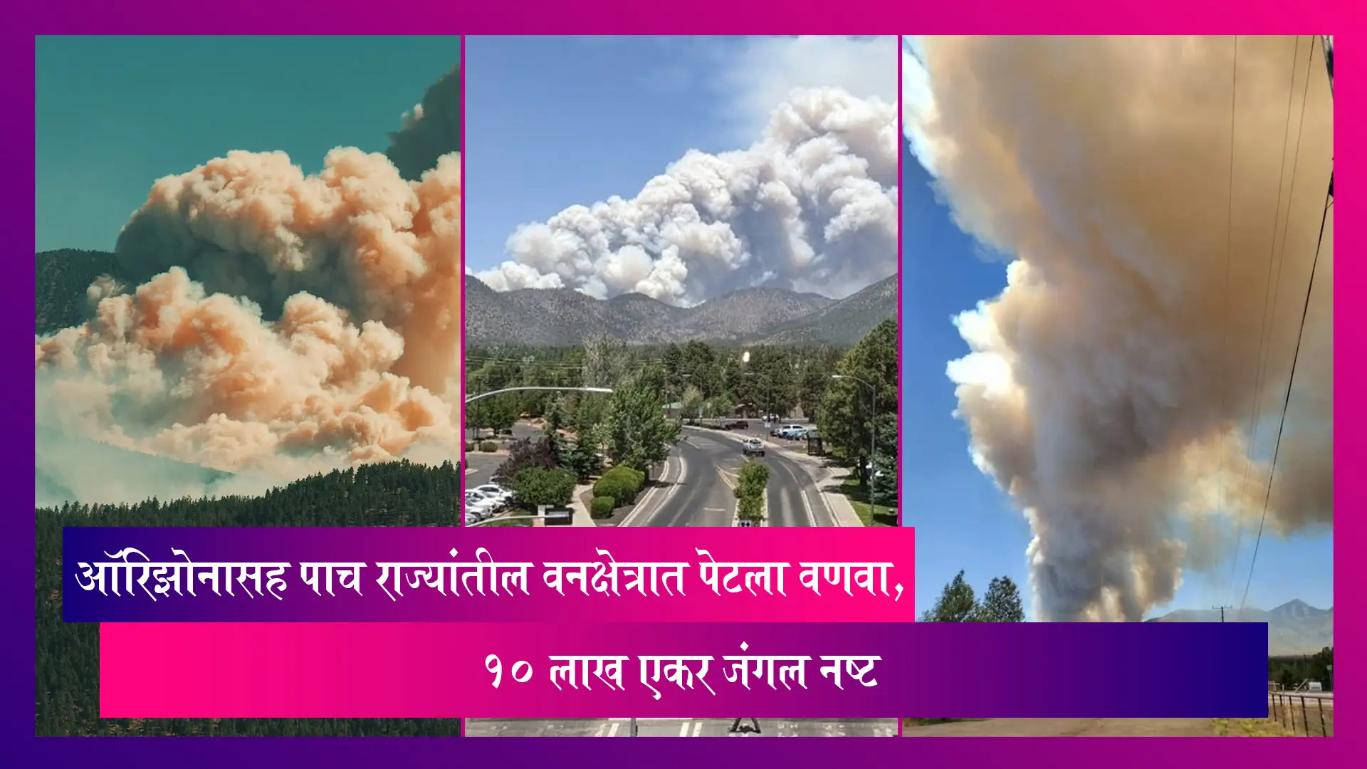 Arizona सह पाच राज्यांतील वनक्षेत्रात पेटला वणवा,  १० लाख एकर जंगल नष्ट