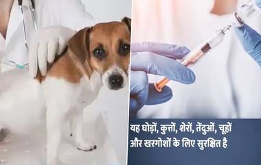 India's first COVID Vaccine for Animals: प्राण्यांसाठी भारतातील पहिली कोविड लस लाँच