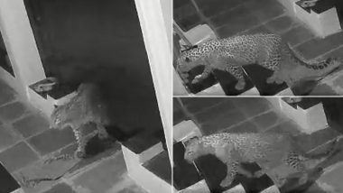 Leopard In Aarey Viral Video: आरेमध्ये  केलटी पाड्यात बिबट्या घराच्या दारात; पहा व्हिडिओ
