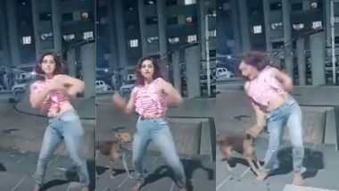 Viral Video: 'ज़रा ज़रा टच मी...' गाण्यावर डान्स करत होती तरुणी; अचानक कुत्र्याने घेतला ‘त्या’ ठिकाणचा चावा, जाणून घ्या काय घडले पुढे (Watch)