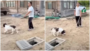 Viral Video: दिव्यांग व्यक्तीस कुत्र्याने दाखवली वाट, खड्ड्यात पडण्यापासून वाचवले; सोशल मीडीयावर व्हिडिओ व्हायरल
