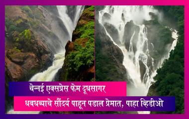 चेन्नई एक्सप्रेस फेम Dudhsagar धबधब्याचे सौंदर्य पाहून पडाल प्रेमात, पाहा व्हिडीओ