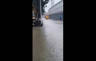 Mumbai Rains Updates: उद्धव ठाकरे आणि मुंबई महापालिका यांची तयारी कामी आली, धोधो पाऊस पडूनही हिंदमाता परिसरात पाणी नाही साचलं!