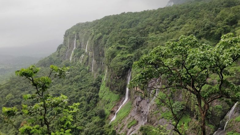 Pune: भीमाशंकरच्या जंगलात मुसळधार पावसात सहा ट्रेकर्सची पुणे ग्रामीण पोलिसांकडून सुटका