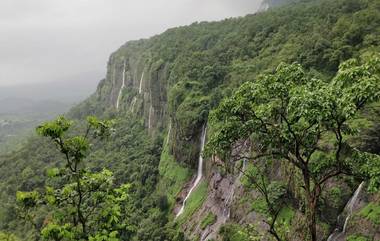 Bhimashankar Closed For 2 Months: श्रावणात भीमाशंकरला जाणाऱ्या पर्यटकांना मोठा झटका; 30 सप्टेंबरपर्यंत बंद असणार 'ही' ठिकाणे, वन विभागाची माहिती