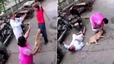 Delhi Shocker: पाळीव कुत्रा भुंकल्याने तरुणाला आला राग, संतापलेल्या व्यक्तीने शेजारच्यांना केली मारहाण, पहा व्हिडीओ