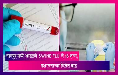 Swine Flu in Maharashtra: नागपुर मध्ये आढळले  Swine Flu चे 16 रुग्ण, प्रशासनाच्या चिंतेत वाढ