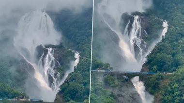 Goa:चेन्नई एक्सप्रेस फेम Dudhsagar धबधब्याचे सौंदर्य पाहून पडाल प्रेमात, पाहा व्हिडीओ
