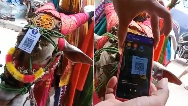 Nandi Bail With UPI Scanner Viral Video: नंदीला दक्षिणा देण्यासाठी शिंगावर चक्क यूपीआय स्कॅनर (Watch Video)