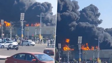 Egypt Fire: अलेक्झांड्रियामध्ये शॉपिंग मॉलला भीषण आग