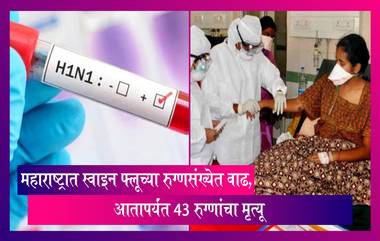 Swine flu In Maharashtra: महाराष्ट्रात स्वाइन फ्लूच्या रुग्णसंख्येत वाढ, आतापर्यंत 43 रुग्णांचा मृत्यू