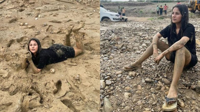 Shehnaaz Gill Viral Photos: मातीत लोळताना दिसली शहनाज गिल, फोटो झाले व्हायरल