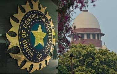 'BCCI एक दुकान आहे', जाणून घ्या Supreme Court ने भारतीय क्रिकेट बोर्डाला असं का म्हटलं