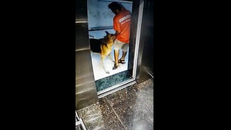Pet Dog Bite Zomato Boy: झोमॅटो बॉयला पाळिव कुत्र्याचा चावा, पनवेल तालुक्यातील कोन इंडियाबुल्स येथील घटना; व्हिडिओ व्हायरल