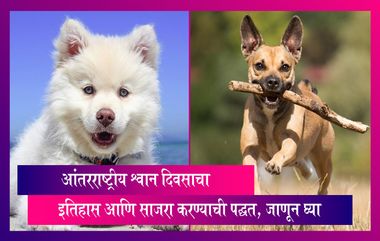 International Dog Day 2022: आंतरराष्ट्रीय श्वान दिवसाचा इतिहास आणि साजरा करण्याची पद्धत, जाणून घ्या