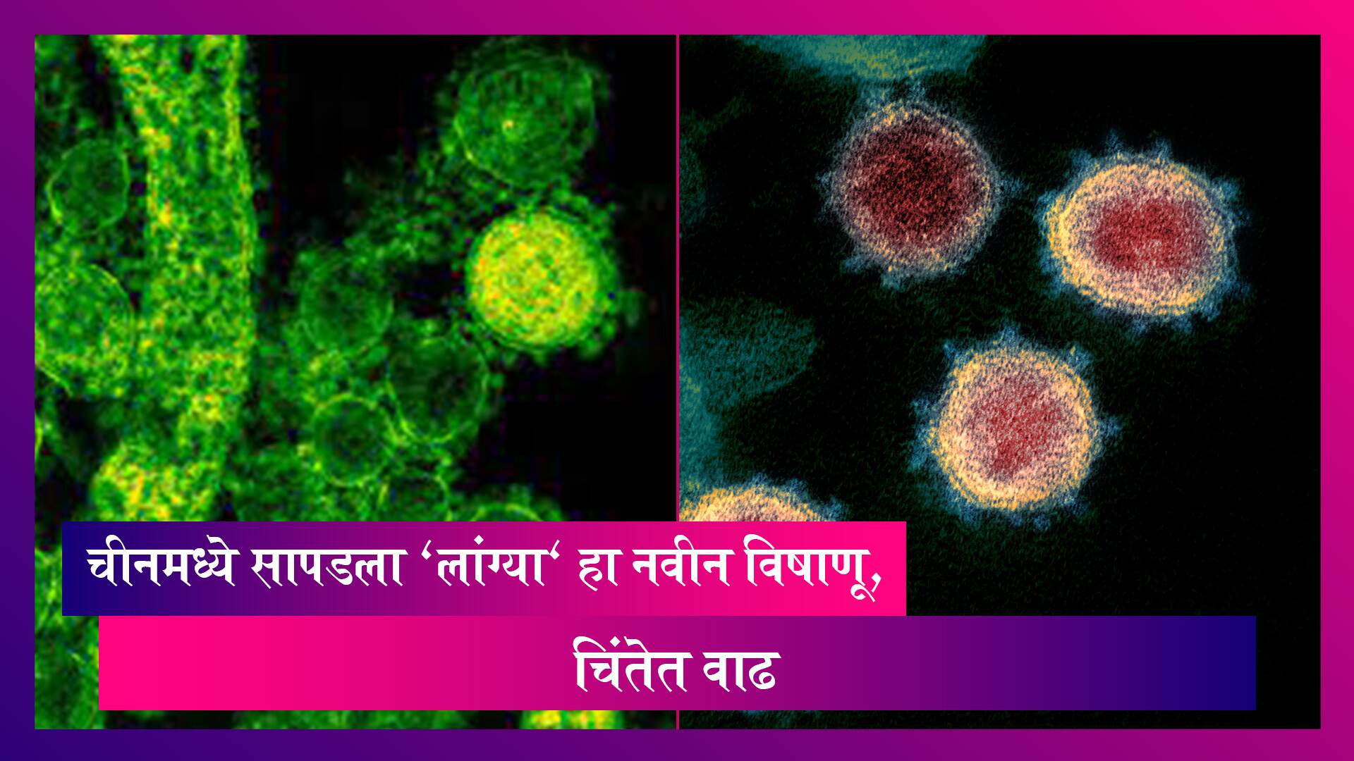 चीनमध्ये सापडला Langya हा नवीन Virus, आतापर्यंत 35 जणांना लागण, चिंता वाढली