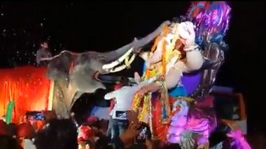 Ganeshotsav 2022: लाडक्या बाप्पाचे गजराजाकडून विशेष स्वागत, पहा व्हिडीओ