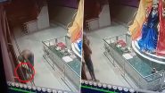Viral Video: मंदिरात लक्ष्मी मातेचा आशिर्वाद घेत चोरांचा दानपेटीवर डल्ला, सोशल मिडीयावर व्हिडिओची जोरदार चर्चा