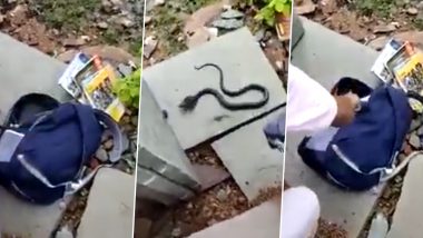 Snake Viral Video: पाठीवर दप्तर अडकवून चिमुरडी पोहोचली शाळेत; वर्गात गेल्यावर बॅग उघडताचं निघाला विषारी नाग, पहा व्हिडिओ