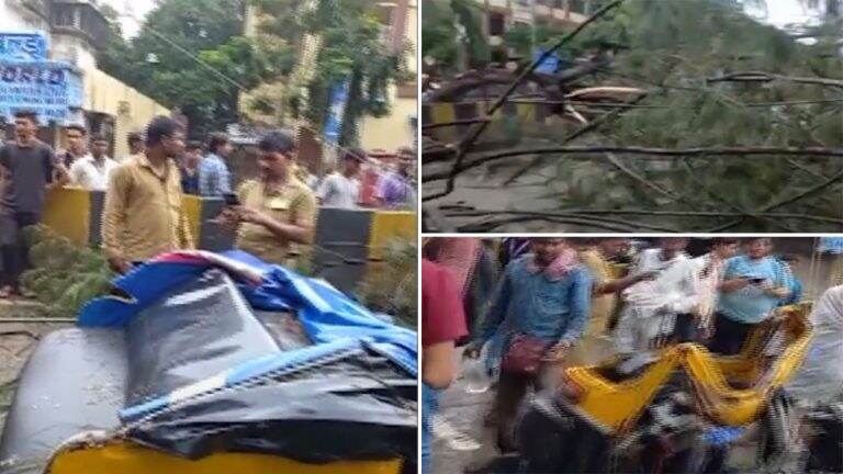 Mumbai Rains: मुंबईत नॅशनल कॉलेजसमोर रिक्षावर झाड कोसळलं, रिक्षाचं मोठं नुकसान