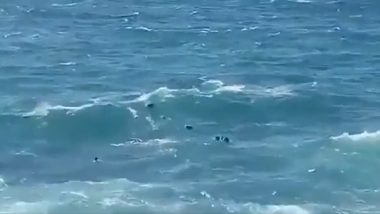 Boat Capsizes off Syrian Coast : सीरीयाच्या समुद्र किनारपट्टीवर प्रवासी बोट बुडाली, 34 जणांचा मृत्यू, 14 जण बचावले