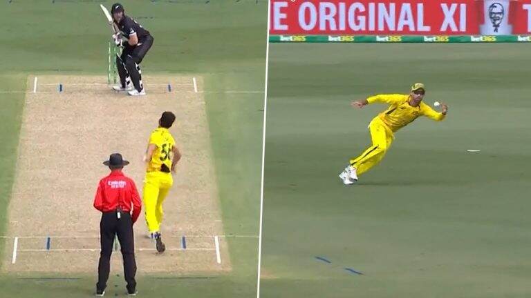 Maxwell Catch VIDEO: मॅक्सवेलने हवेत उडी मारुन एका हाताने पकडला झेल, व्हिडिओ पाहून तुम्हालाही वाटेल आश्चर्य