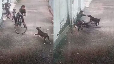 Kerala Dog Viral Video: कोझिकोडमध्ये भटक्या कुत्र्याचा सातवीच्या मुलावर हल्ला; पहा व्हिडिओ