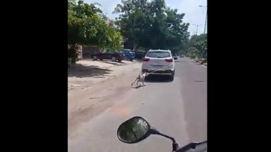 Rajasthan Shocker: कुत्रा घरात येतो म्हणून सर्जनने कुत्र्याला पाच किलोमीटरपर्यंत नेले फरफटत, डॉक्टरांविरुद्ध गुन्हा दाखल