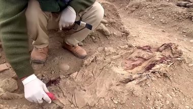 8 Century Old Mummy Video: पुरातत्व शास्त्रज्ञांना सापडला आठशे शतके जुना ममी, व्हिडीओ बघून तुम्हीही व्हाल थक्क