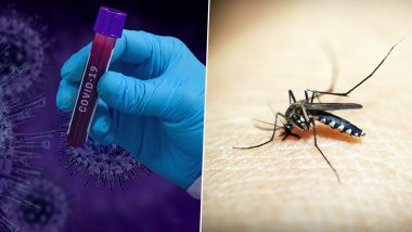 Covid-19 vs Dengue: डेंग्यू आणि कोविड-19 ची अनेक लक्षणे आहेत सारखीच; मग काय आहे या दोन्हींमध्ये फरक? जाणून घ्या