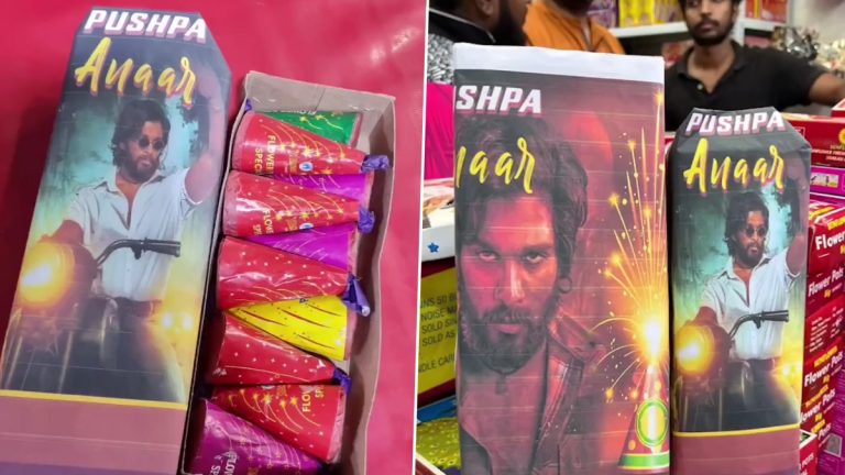 Pushpa Crackers: फ्लॉवर नही फायर है मैं! यंदाच्या दिवाळीत पुष्पा फटाक्यांची बाजारात मोठी मागणी, पहा व्हिडीओ