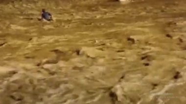 Shocking Video: दुर्गा मूर्ती विसर्जनाच्या वेळी अचानक नदीची पातळी वाढली; 7 जणांचा मृत्यू, 10 जण जखमी (Watch)