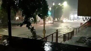 Heavy Rains In Pune: पुण्यात मुसळधार पाऊस, अनेक ठिकाणी झाडे पडली; अग्निशमन दल सक्रीय, अडकलेल्या 12 जणांची सुटका